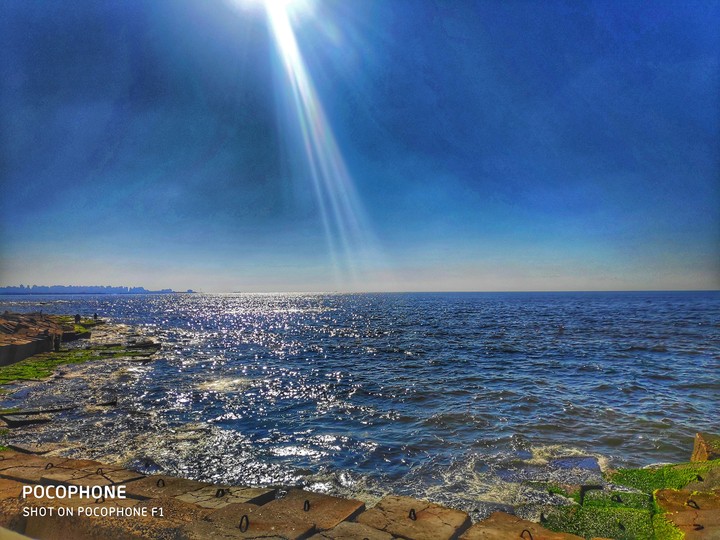 Alexandria the bride of the mideteranian sea