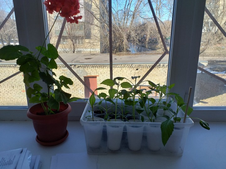 spring has come