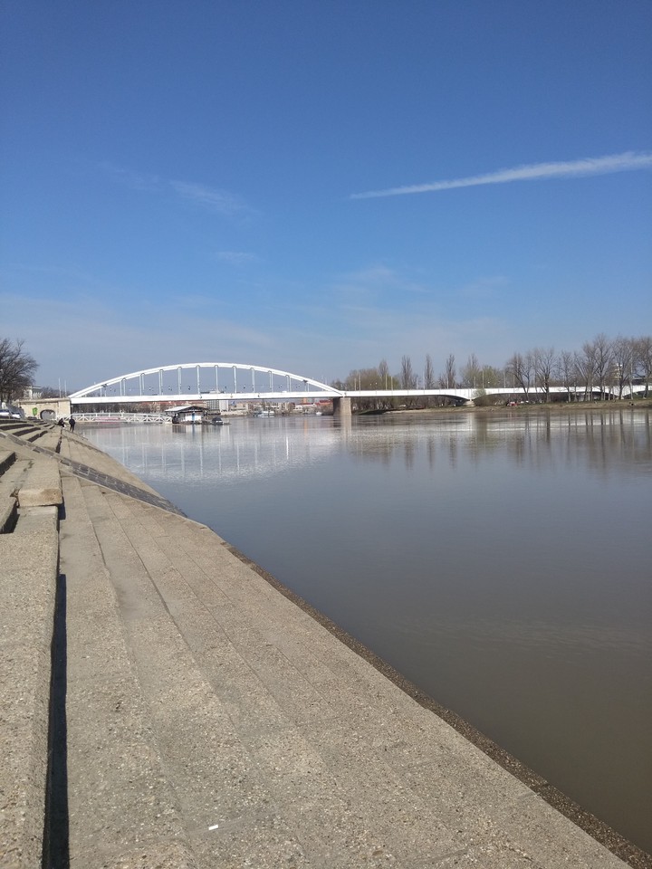 Early spring by the Tisza