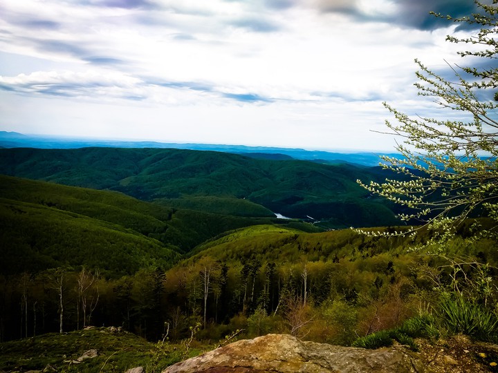 nature