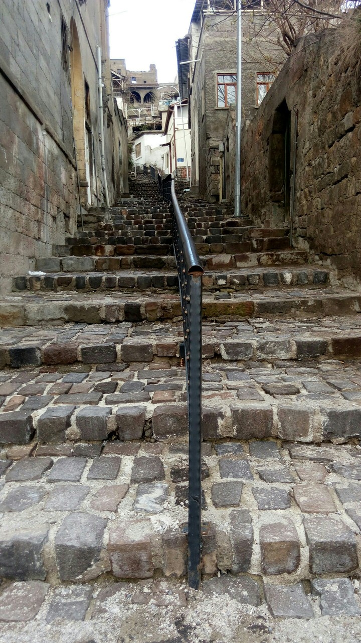 hayat