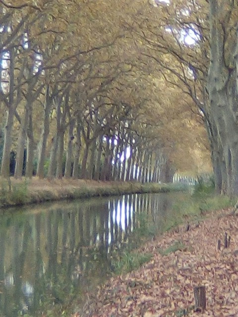 le canal du midi