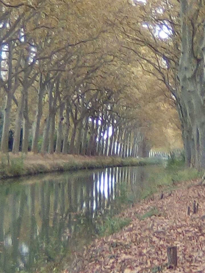 le canal du midi