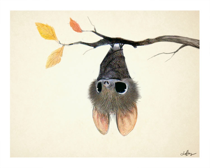 bat cute