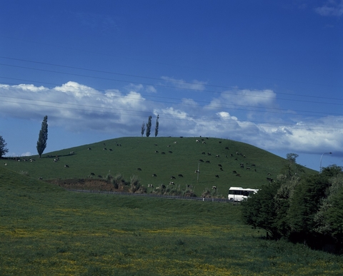 steppe, ecoregion achtergronden
