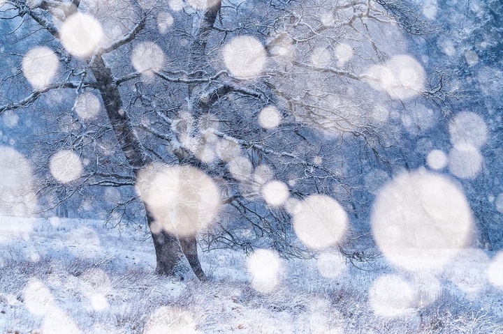 snow