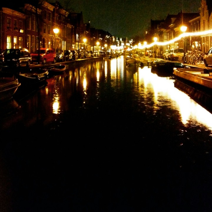 the dutch