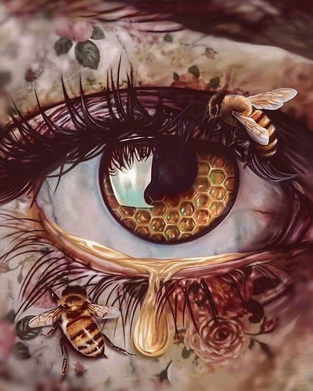 Seeing honey Bees