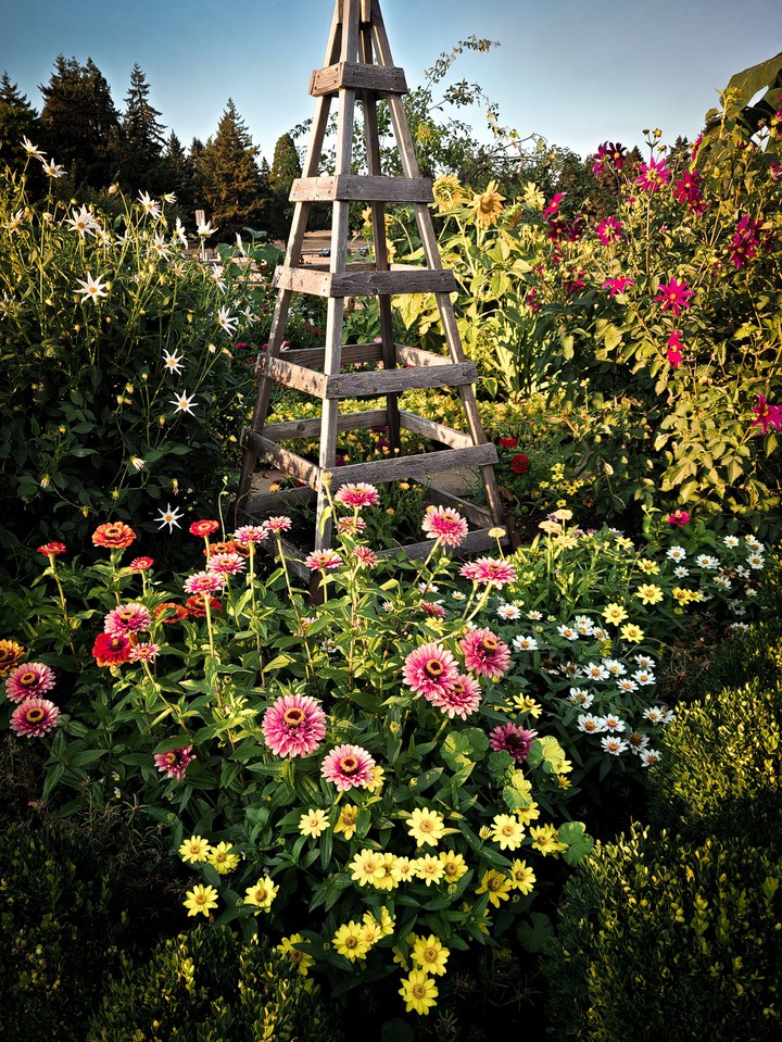 Summer Garden