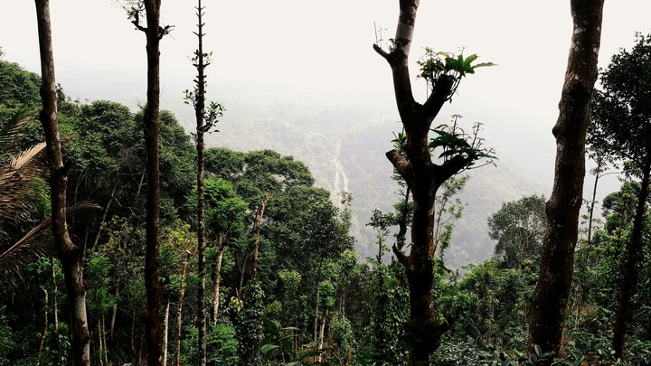 Beauty with Nature