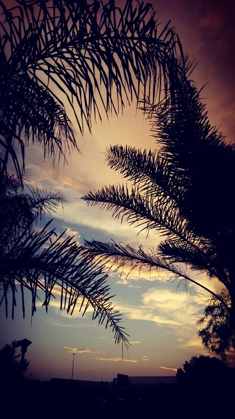sunset