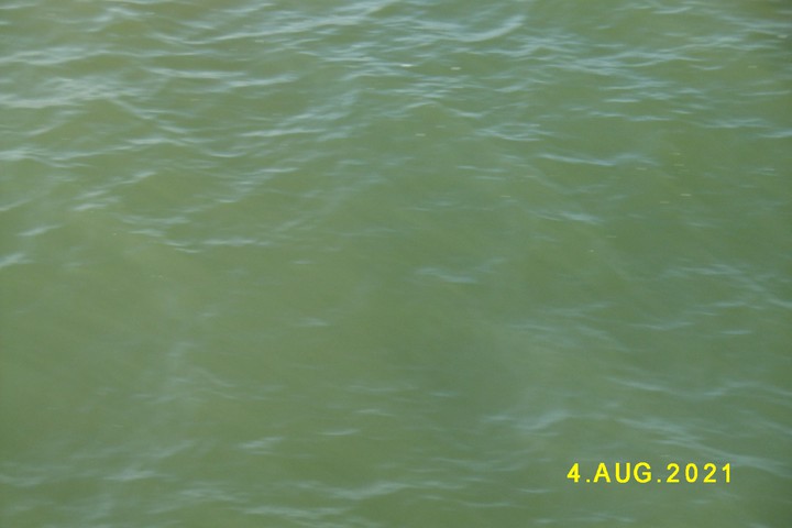 meerwasser