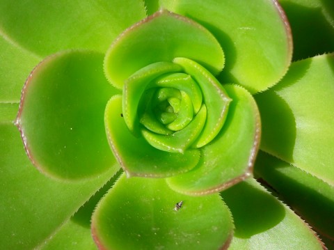 la natura è meravigliosa