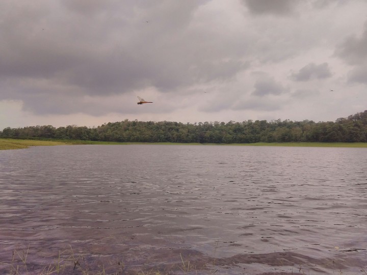 lake