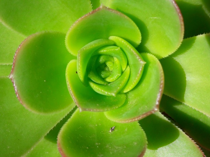 la natura è  meravigliosa