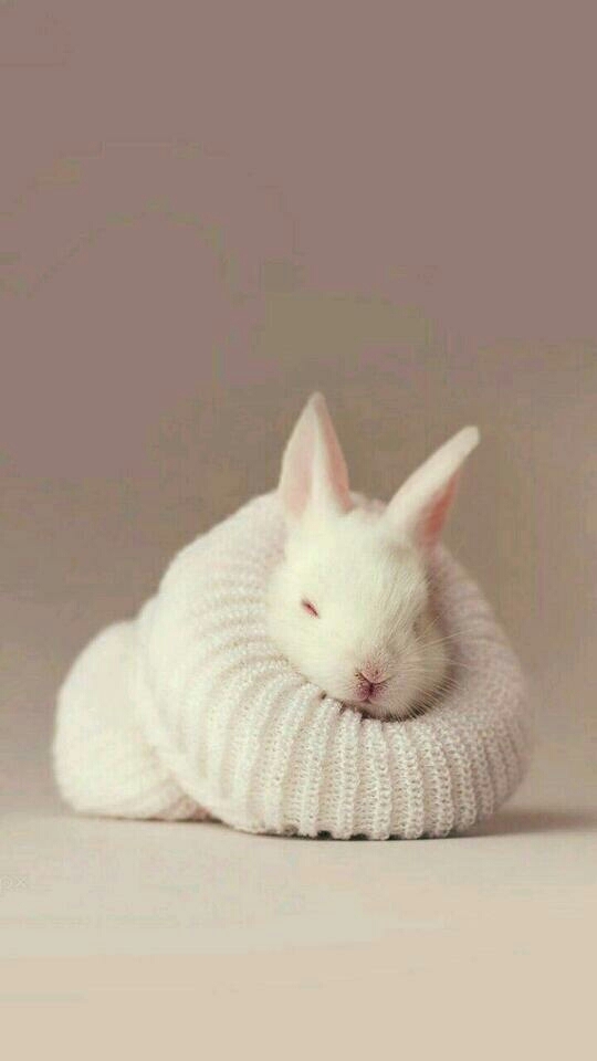 :-)