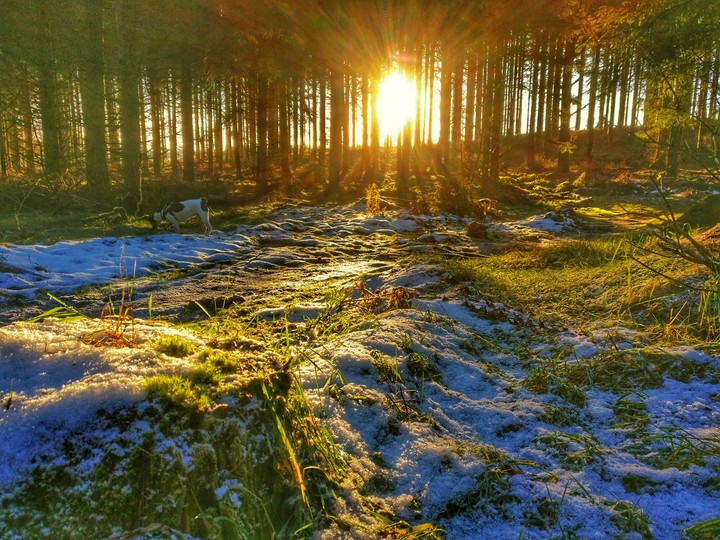 calmness of a winter sunset