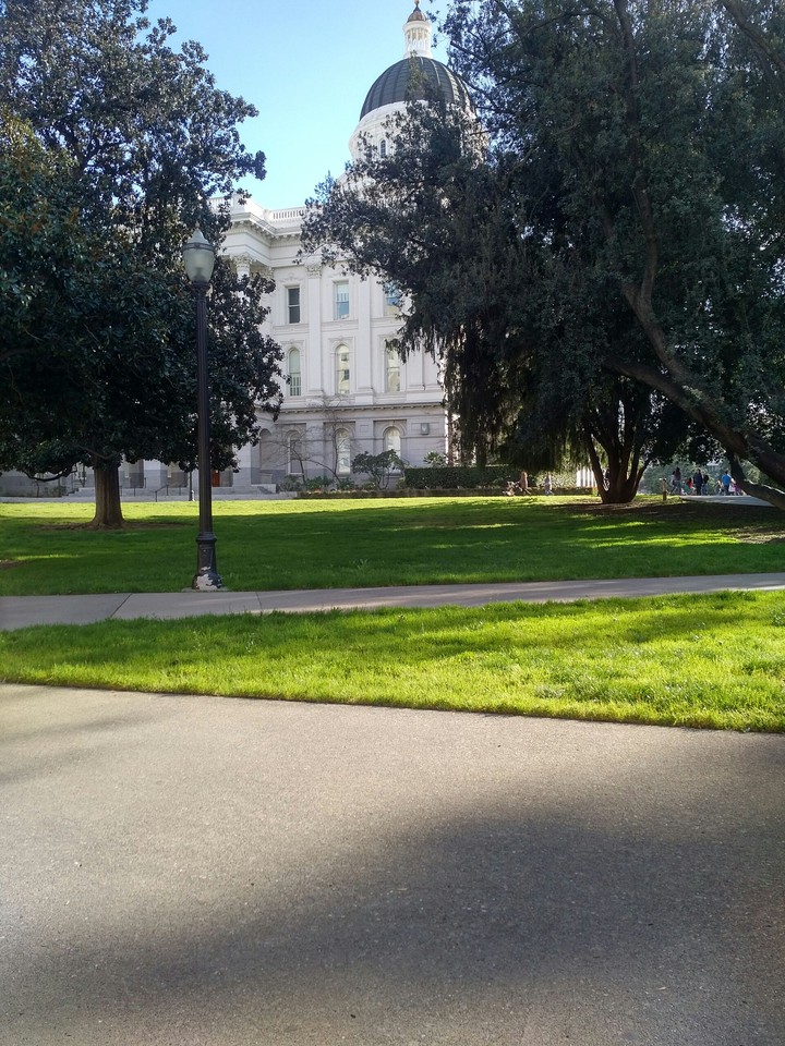 mansion my city