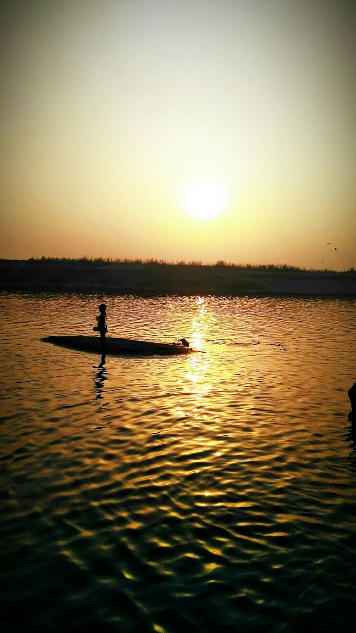 sun,sunrise,rise,background,wallpaper