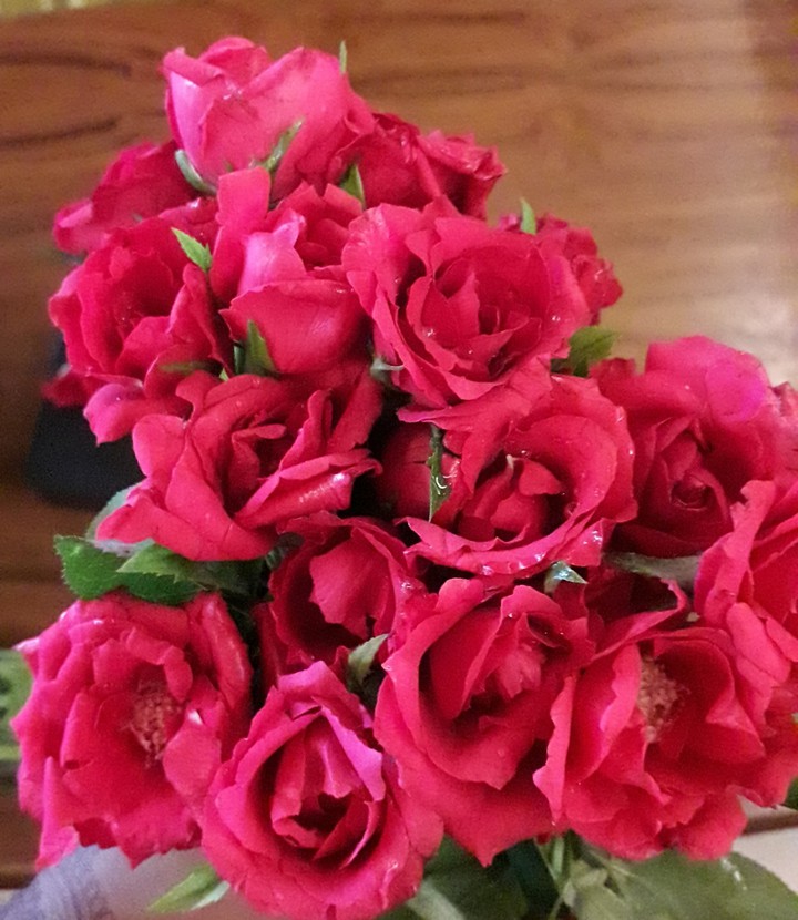 rose