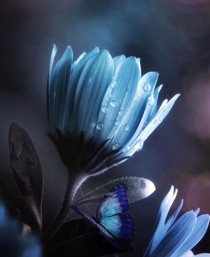blue