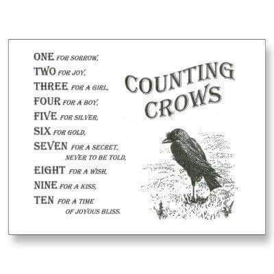 Crow Rhyme
