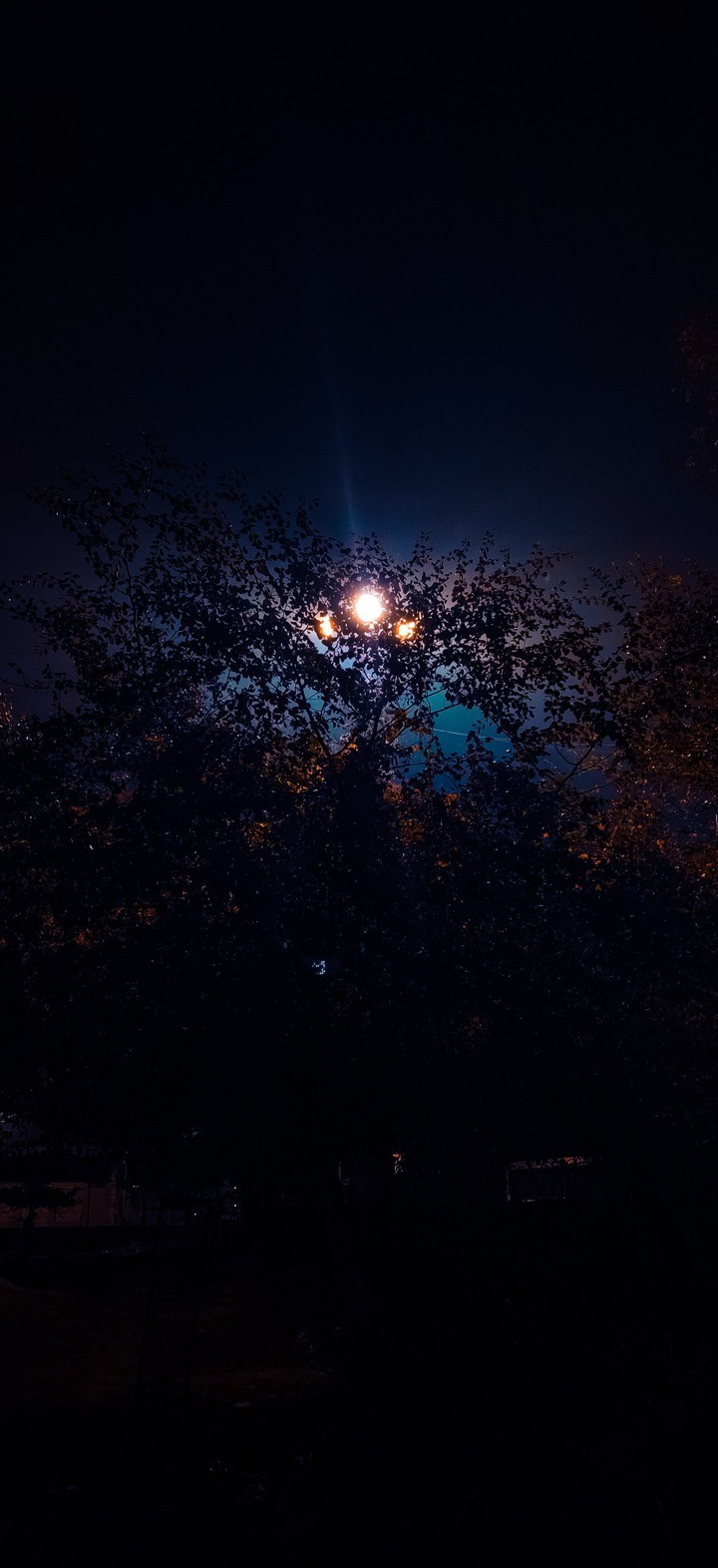 Saturated White Light