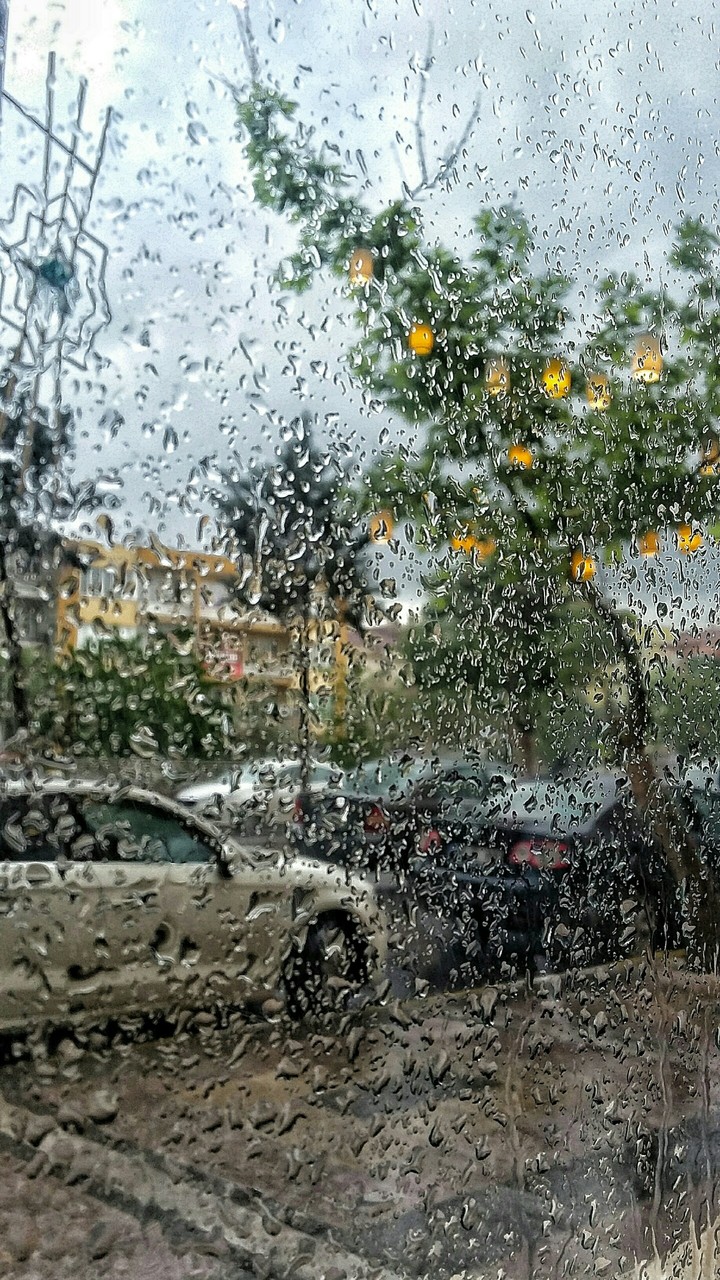 Rainy
