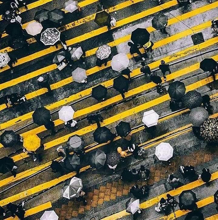 umbrella