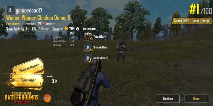 winner winner chicken dinnner