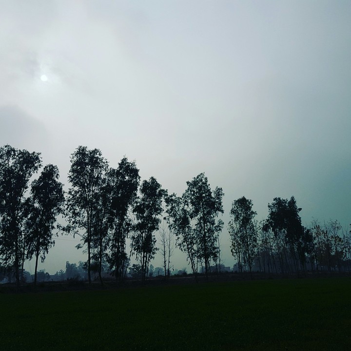 nature