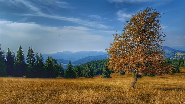 i love nature