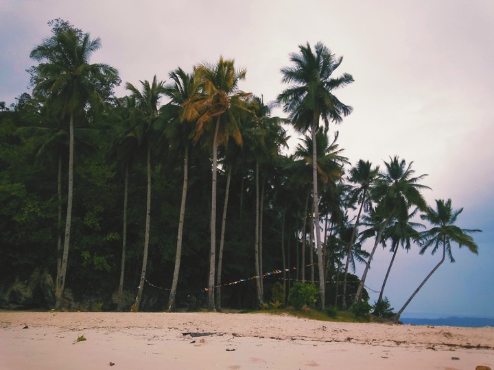 vacation
