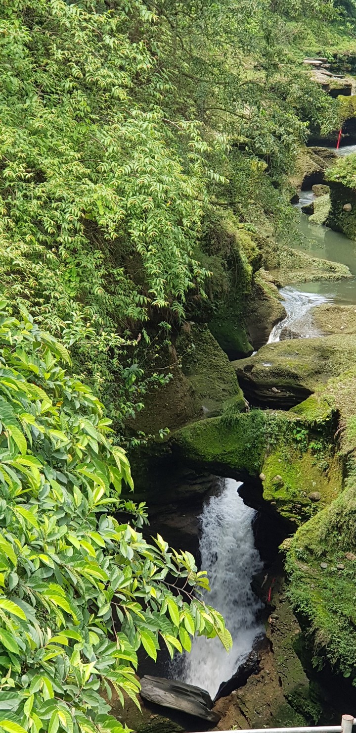 Nature