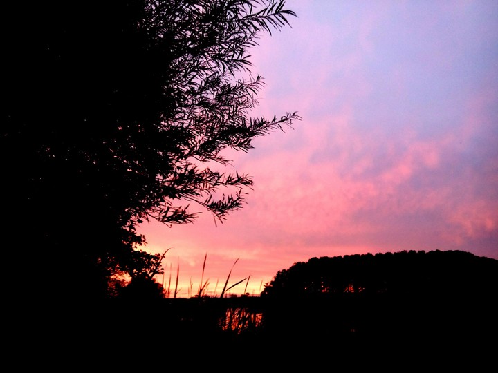 Love view