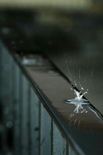 Rain melody ..