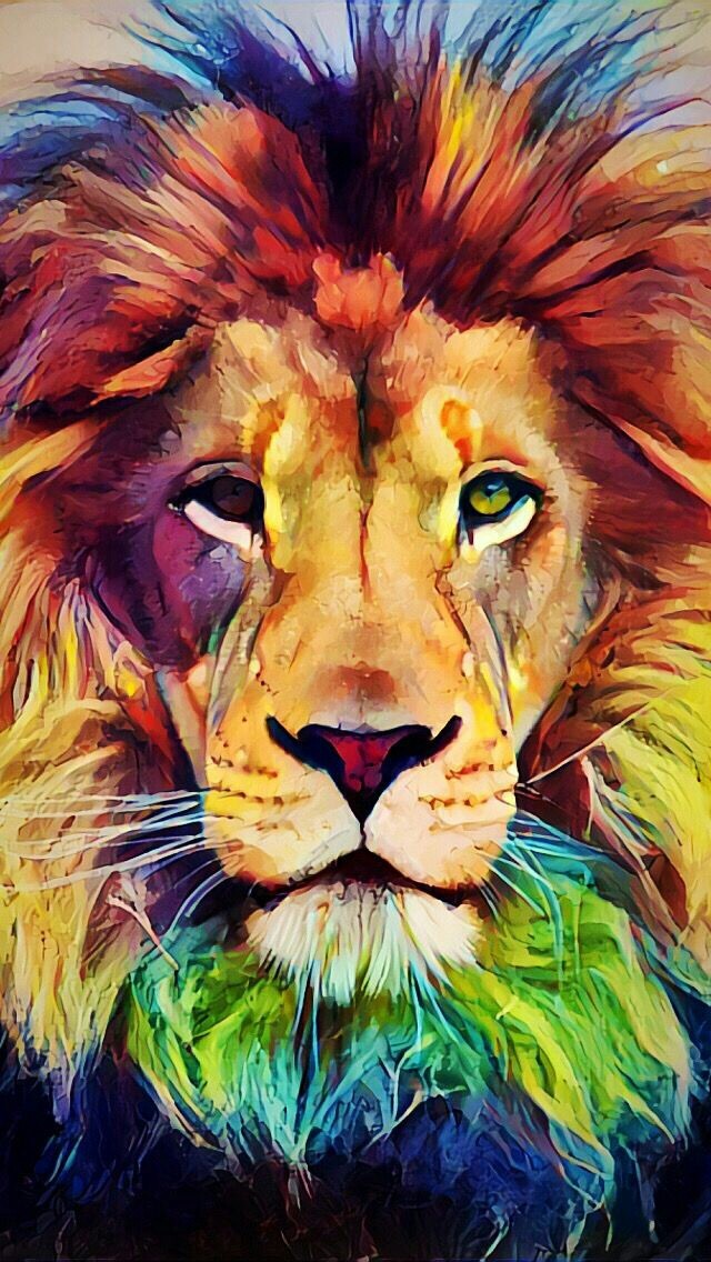 lion beautiful
