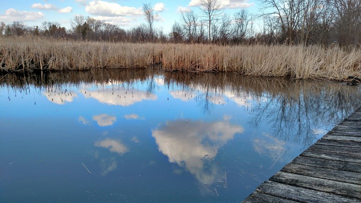 Reflections