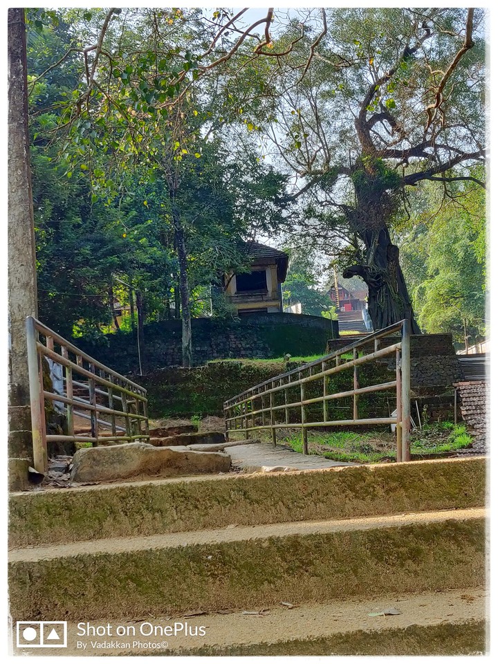 one stone bridge in kerala