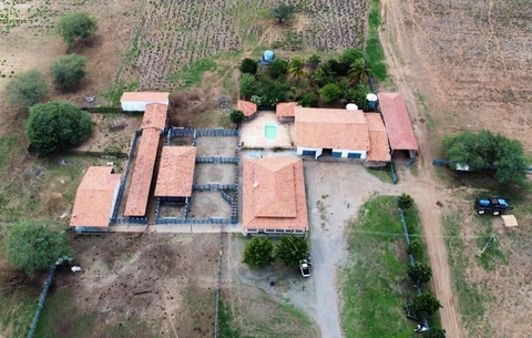 Building, 植物壁纸