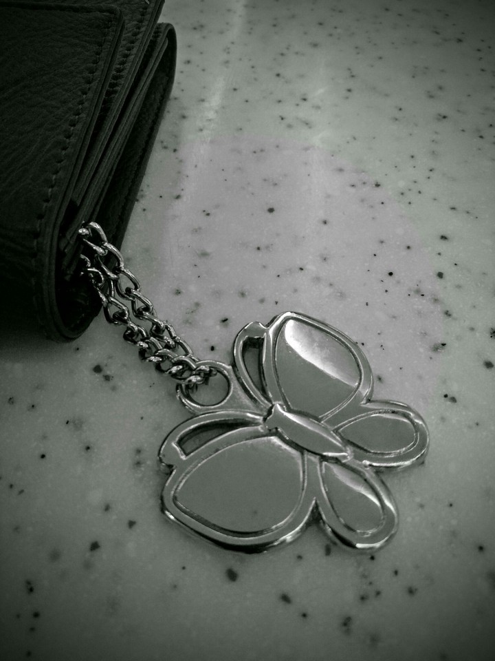 butterfly