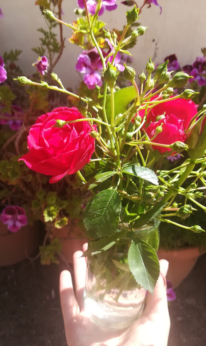 flowers