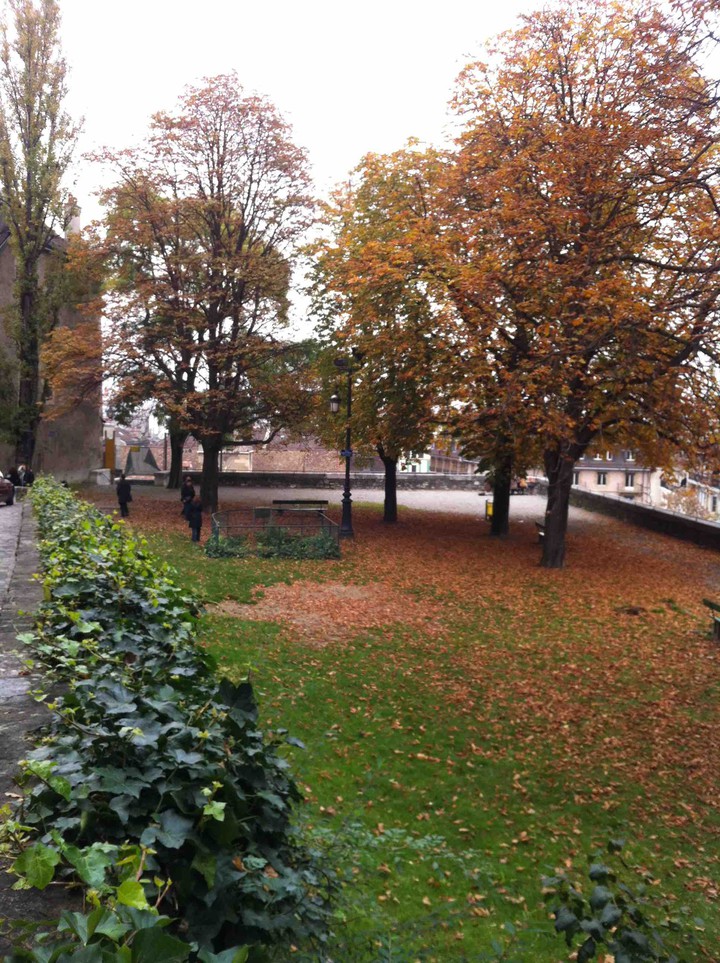 autumn
