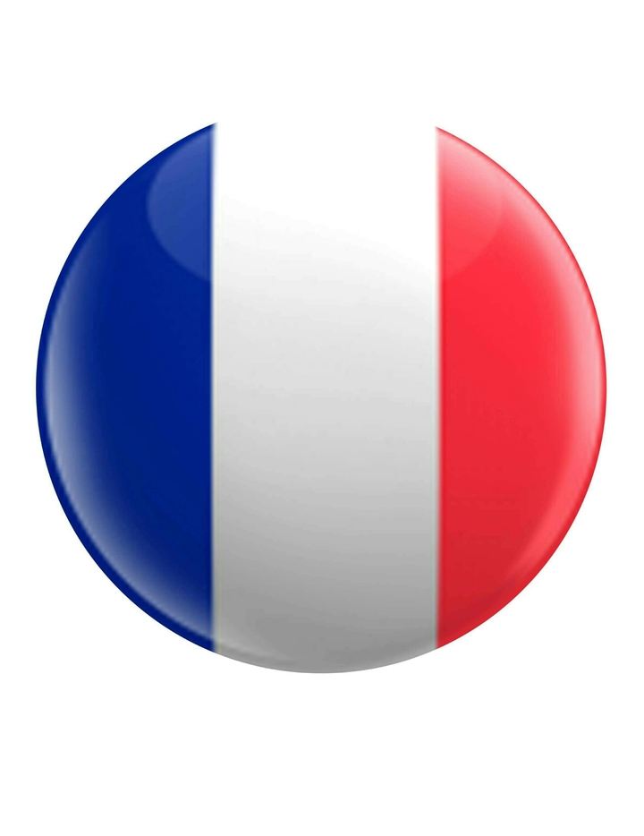 allez les bleus FRANCE / URUGUAY