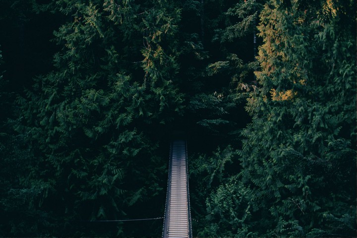 Nature Entryway