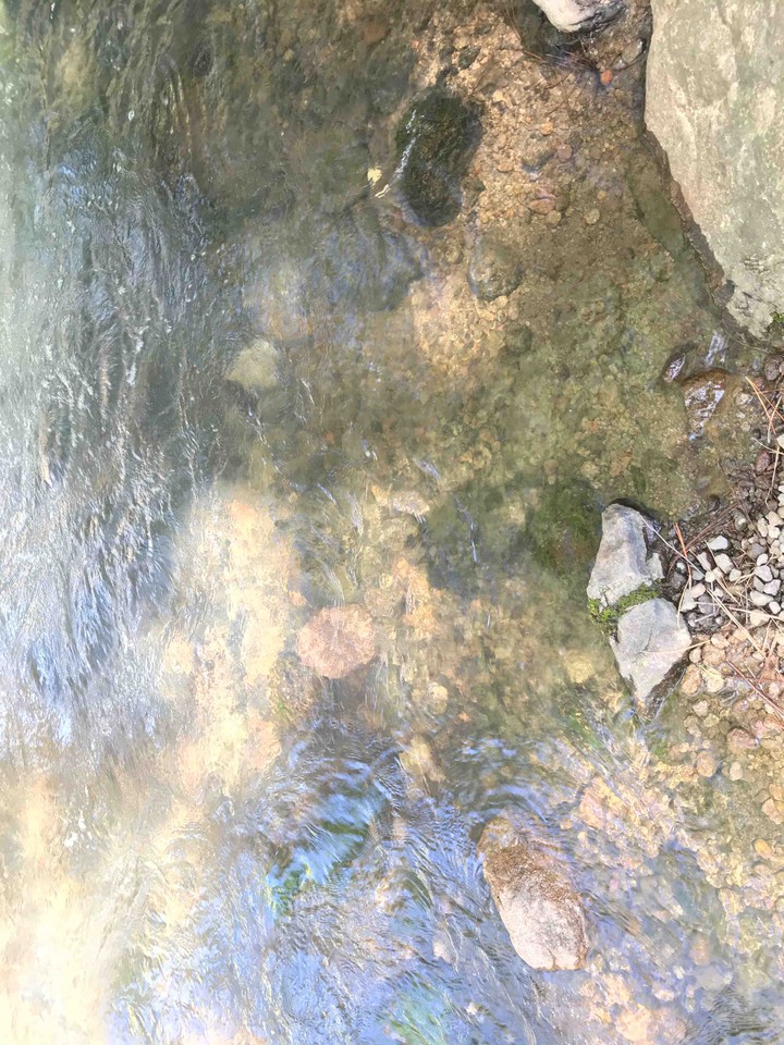 water