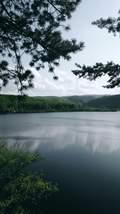 loch, morning桌布