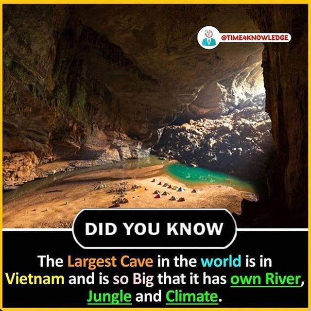 Fact