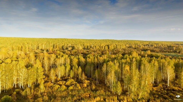 nature