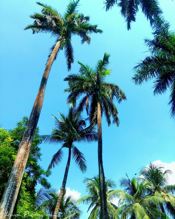 abnish_photography